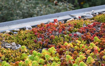 the cost of Ecclesmachan green roof installation
