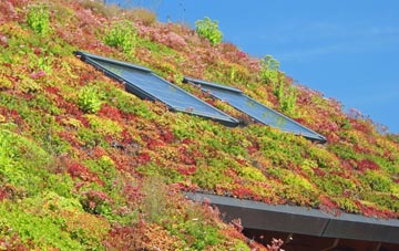 Ecclesmachan living roof systems