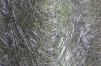 Ecclesmachan fibreglass roof work